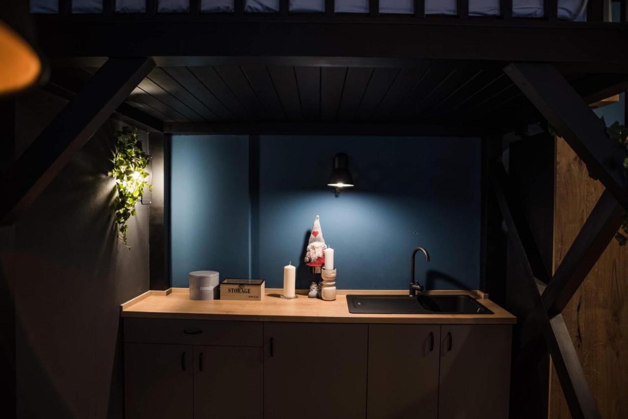 Casa Verde Brasov Flat3 Eksteriør bilde